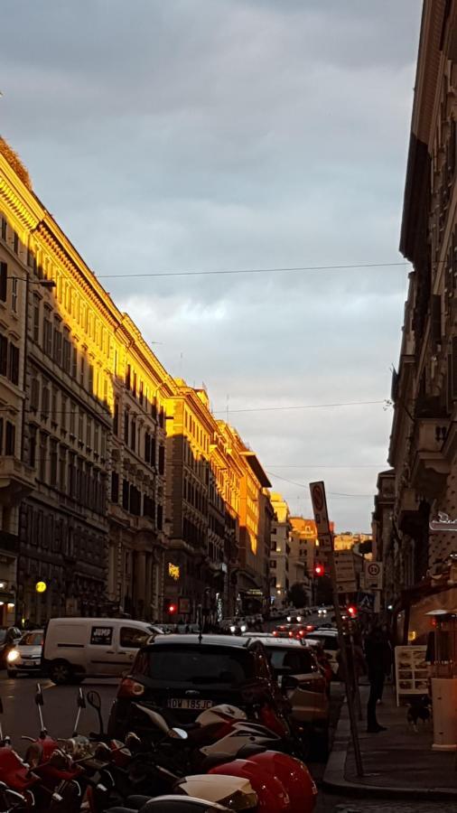 Pensión Domus Ferraro Roma